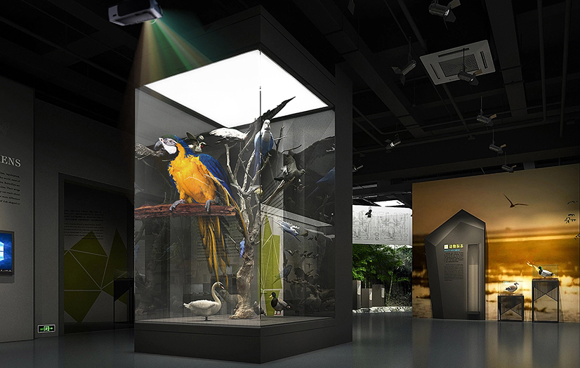 UTD-AR projekcijske folije